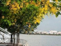 Bán Nhà Mặt Phố Tại Đường Quảng Khánh Diện Tích: 360M2, Giá: 320 Tỷ. Tây Hồ