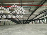 Cho Thuê Kho Xưởng Mới 11.400M2, Pháp Lý Chuẩn, Giá Tốt Tại Kcn Đức Hoà, Long An