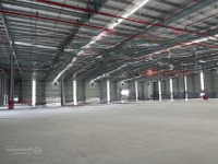 Cho Thuê Kho Xưởng Mới 6000M2, Kv 8000M2, Pháp Lý Chuẩn, Giá Tốt Tại Kcn Đức Hòa, Long An