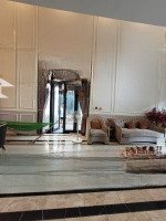 Villa Park Full Nt Sang Trọng 22.7 Tỷcó Thương Lượngmạnh 0979 44 77 99