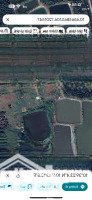 Bán Đất Trồng Cây Mặt Tiền Ngô Quang Thắm, Long Thới, Nhà Bè, Diện Tích: 907M2, Giá Bán 13,6 Tỷ