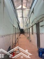 Bán Dãy Trọ 10X48M 19 Phòng Khu Phố 1 Hội Nghĩa Tân Uyên Bình Dương Giá Bán 6 Ty 500 Triệu