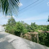Bán 5400m2 đất sầu riêng có 300m2 thổ cư Nhơn Ái, Phong Điền