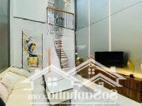 Chủ Cần Bán Gấp Căn.trần Quốc Tuấn P1,Gò Vấp.46M2/2Tỷ860. Hẻm Ô Tô Shr Chính Chủ