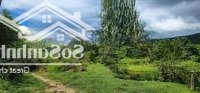 Bán 1,21Hecta Đất Đối Diện Ubnd Xã Ba, Đồi Chè Đông Giang, Đà Nẵng
