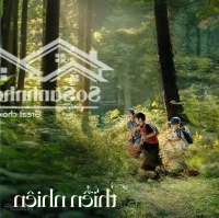 Biệt Thự Thanh Xuân Valley Giữa 80H Tán Thông Trên 50 Năm Tuổi