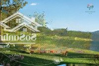 Biệt Thự Thanh Xuân Valley Giữa 80H Tán Thông Trên 50 Năm Tuổi