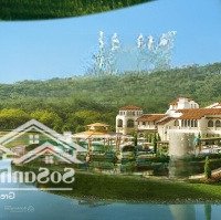 Biệt Thự Thanh Xuân Valley Giữa 80H Tán Thông Trên 50 Năm Tuổi