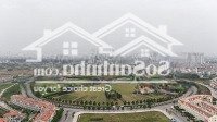 Chính Chủ Cần Bán 117M Đất Dịch Vụ Khu Đất 12.5Ha Dịch Vụ An Thượng
