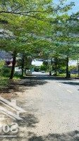 Chính Chủ Gửi Bán Một Số Nền Đất Thuộc Dự Án Thời Báo Kinh Tế, Phú Hữu, Quận 9 Giá Tốt