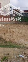 Đường Bến Trễ, Cẩm Hàdiện Tích100M2, 125M2 Giá Tốt Cho An Cư Lập Nghiệp Đầu Tư