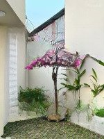 Bán Căn Mini House Phú Lợi, Thủ Dầu Một; Gần Hiệp Thành 3, Đường Thông Xe Hơi; Giá Hỗ Trợ Vay