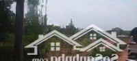 Bán Đất Dh507, 1,1 Tỷ, 250M2, An Linh, Phú Giáo, Bình Dương