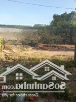 Bán Nhà Mặt Phố Quốc Lộ 1A, Tân Đức, Hàm Tân, Bình Thuận, Giá Bán 2,5 Tỷ, 460,8 M2