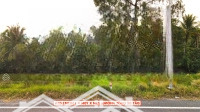 Đất Đê Quốc Phòng, Giáp Ranh Rạch Giá. Lộ 8M, 23X70M, Đất Cây Quy Hoạch Full Thổ, Sổ Hồng Riêng