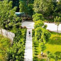 Bỏ 15 Tỷ – Sở Hữu Villa, Dòng Tiền Ổn Định!