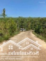 Cần Bán Gấp Lô Đất Tại Xã Lộc Khánh, Lộc Ninh, Bình Phước, 1,5 Tỷ, 1201,9 M2, Hàng Hiếm Uy Tín