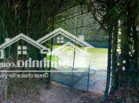 Bán Mảnh Vườn Diên Thọ ,Diên Khánh Mặt Tiền Tỉnh Lộ 2