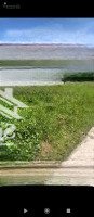 Bán Gấp Cắt Lỗ Đất Giao Hương, Giao Thuỷ, 100M2 Đường Ô Tô Tránh