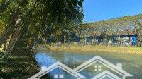 Bán Gấp Đất Nền Dự Án Phú Xuân Vạn Phát Hưng, 47 Triệu/M2,Diện Tích200 M2, Tìm Năng Kết Nối