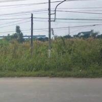 1ha đất SKC mặt tiền 823, xã Hòa Khánh Tây, Đức Hòa giá 45 tỷ