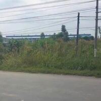 1ha đất SKC mặt tiền 823, xã Hòa Khánh Tây, Đức Hòa giá 45 tỷ