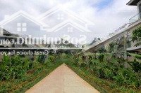 Cho Thuê Nhà Phố Lavila Nguồn Nhà Đẹp Giá Tốt Nhất