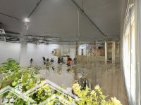 Chuyên Cho Thuê Văn Phòng (Offictel) Charmington La Poite, Quận 10 - Diện Tích Từ 31 - 200M2(24/24)