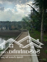Bán View Nghỉ Dưỡng Sinh Thái Tại Cẩm Mỹ Đồng Nai,Diện Tích2550M2, Sân Vườn Thoáng Đẹp, Giá Chỉ 4.5 Tỷ