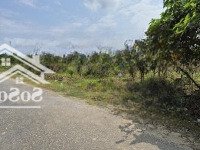 Bán Đất Mặt Tiền Đường Liên Xã Xuân Đồng