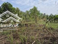 Bán Đất Mặt Tiền Đường Liên Xã Xuân Đồng