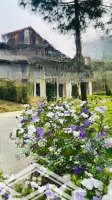 Duy Nhất 1 Suất Ngoại Giao Quỹ Ẩn Căn Bt Luxury Thanh Xuan Valley,Ck Thêm 500 Triệu Liên Hệ: 0987.975.976
