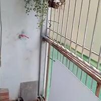 Bán căn hộ CCMN Phố An Dương Vương 1.35 tỷ 2 ngủ, phôi riêng mua ngay