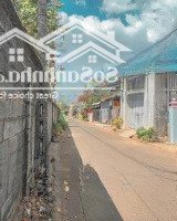 Giảm Giá Mạnh Cho Thuê Nhà 2 Phòng Ngủ, Sân Vườn Lớn, Trung Tâm Thành Phố Long Khánh Giá Chỉ 3 Triệu