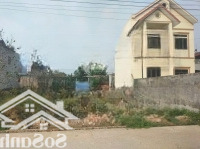 Đất Yên Ninh Hiền Ninh Full Thổ Cư Giá Chỉ 30 Triệu/M