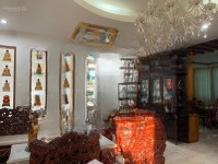 Biệt Thự Đơn Lập Khu Nam Quang 2, Phú Mỹ Hưng, Quận 7, Sang Nhượng Giá Tốt