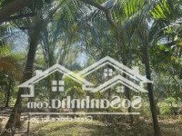 Bán 3500M2 Có 300M3 Thổ Cư Nhà Cấp 4, Tp. Long Khánh, Giá Bán 2Tỷ1. Liên Hệ: 093747501