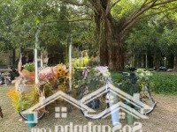 Nhà Phố Liền Kề 4 Phòng Ngủ 3 Vệ Sinh 110M2 Tại Ecopark, 20 Tỷ Vnd, Hàng Hiếm Uy Tín