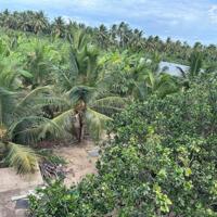 Hơn 3 công nhà và đất SỔ LIỀN KỀ. Thuộc TƯỜNG ĐA. Châu Thành Bến Tre.