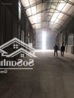 Cần Cho Thuê Gấp Nhà Xưởng Tại Đức Thượng, Hoài Đức. Diện Tích: 400 M2, Giá: 13,7 Triệu/ Tháng. Ở Luôn.