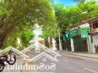 Bất Động Sản View Lúa Trung Tâm Hội An Giảm 30% Tại Thành Phố Hội An