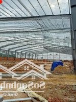 Kho Nhà Xưởng Kcn Nam Tân Uyên Cho Thuê Nhanh Gọn, Vào Hoạt Động Ngay, Sẵn Sàng Chuyển Nhượng