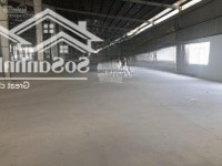 Cho Thuê Nhà Xưởng Tại Kcn Tân Bình, Thị Trấn Tân Bình, Huyện Bắc Tân Uyên, Bình Dương