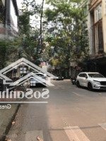 Bán Nhà Cạnh Hồ Tây, Đường Lạc Long Quân, Tây Hồ, Hà Nội, 8,7 Tỷ, 46 M2 5 Tầng, Ô Tô Đỗ Cổng