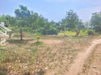 5X44M Có Thổ Cư, Gần Kcn, Dân Đông. Chủ Xả Lỗ Mạnh, 290 Triệu