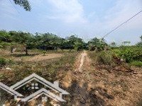 5X44M Có Thổ Cư, Gần Kcn, Dân Đông. Chủ Xả Lỗ Mạnh, 290 Triệu
