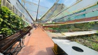 Cho Huê Mặt Bằng Nhà Hàng Rộng Sân Vườn Gần 1000M2 Khu Phố Tây, Khu Phố Khách Du Lịch