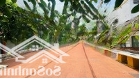 Cho Huê Mặt Bằng Nhà Hàng Rộng Sân Vườn Gần 1000M2 Khu Phố Tây, Khu Phố Khách Du Lịch