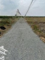 Chính Chủ Bán Đất Làm Nhà Vườn 1033M2, Ô Tô Đỗ Cửa, Cần Đước
