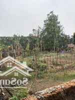 Bán Nhanh 420M Đất Sổ Đỏ Đẹp Muốt Ngay Tại Thôn Cổ Liễn- Xã Cổ Đông. Mặt Tiền Tận 16M Nở Hậu 18M